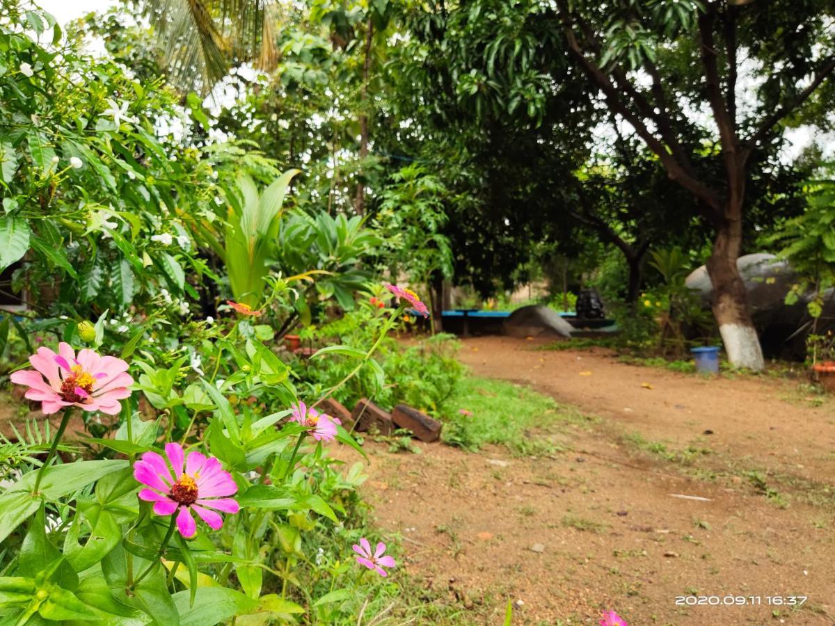 Lotus Riya Homestay Hampi Eksteriør billede